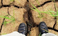 Index drought grass 426