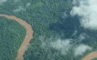 Index brazil amazon