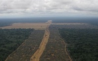 Index 426 upper amazon 10years 07