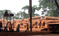 Index logging in congo