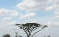 Index africa climate change