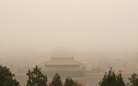 Index forbidden city in smog