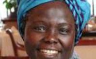 Index wangari maathai