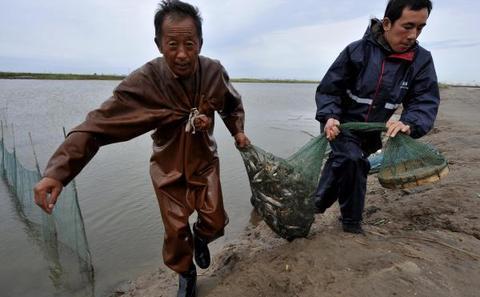 Tianjin fishermen to have their day in court following 2011 oil spill ...