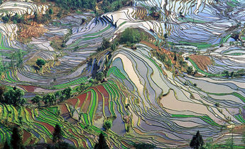 Index 1024px terrace field yunnan china denoised