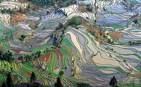 Sidebar 1024px terrace field yunnan china denoised