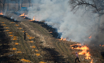 Aside 179880749 meitu 1