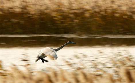 Sidebar 37d3d539b6003af358851335352ac65c1038b6ac meitu 1