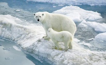 Index 4979037990 92b84f2c32 b