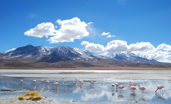 Aside 10122565436 894a1c96f2 k