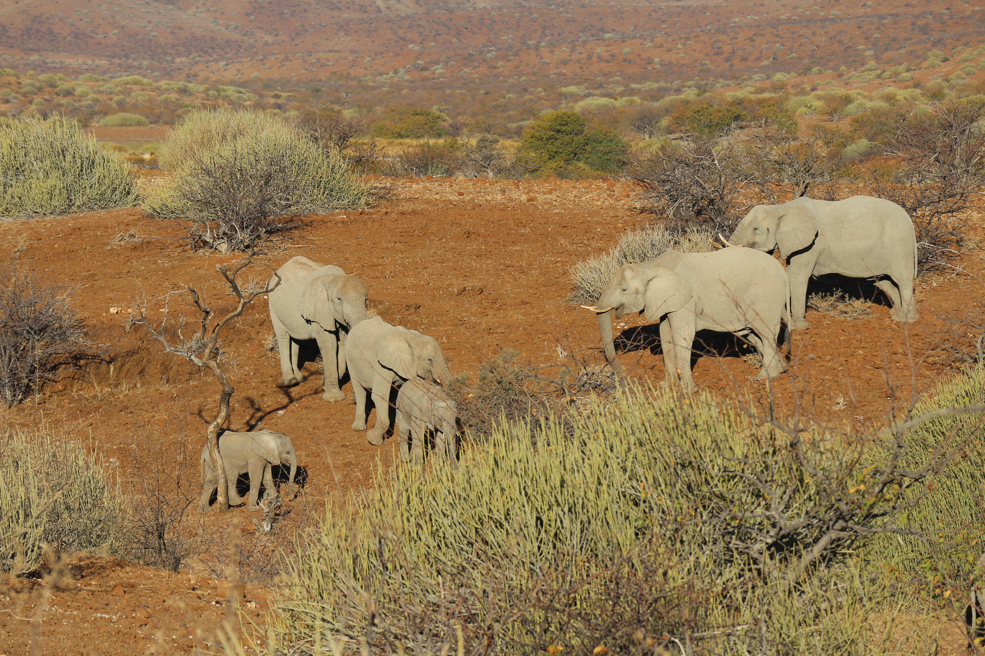 Namibia Wildlife Resorts Encourages Namibians to Take Advantage Of