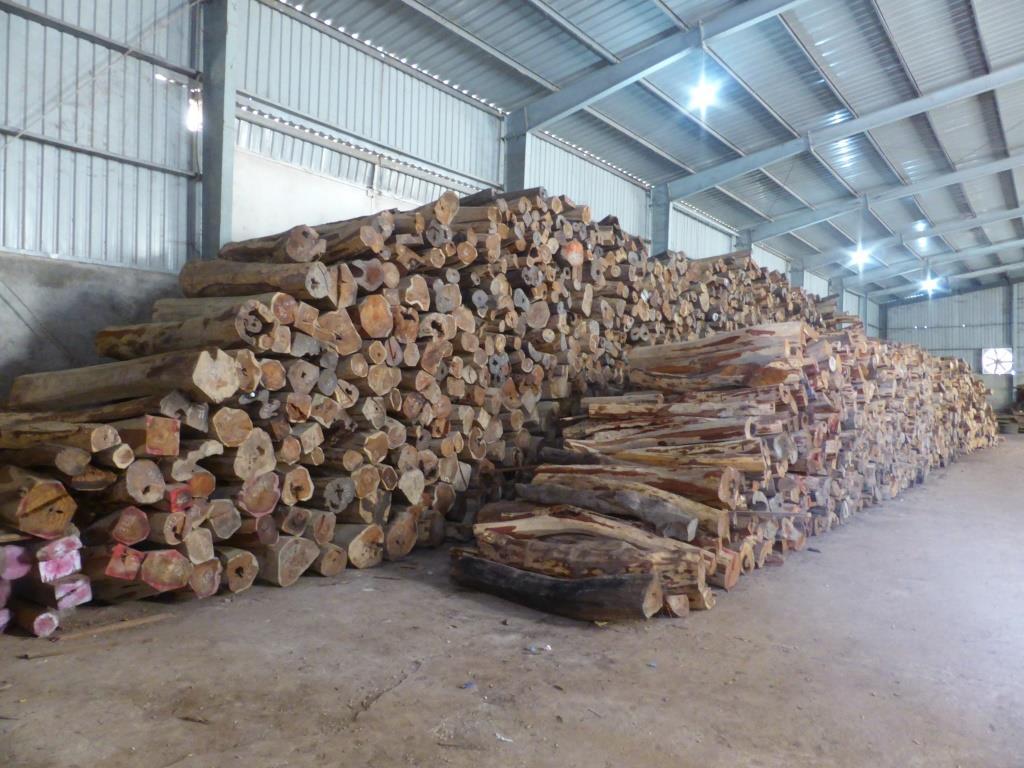 rosewood logs
