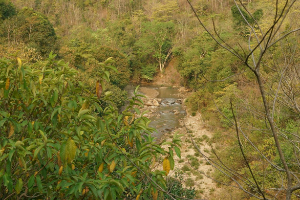 Reservoir which serves as a habitat for the endangered green peacock