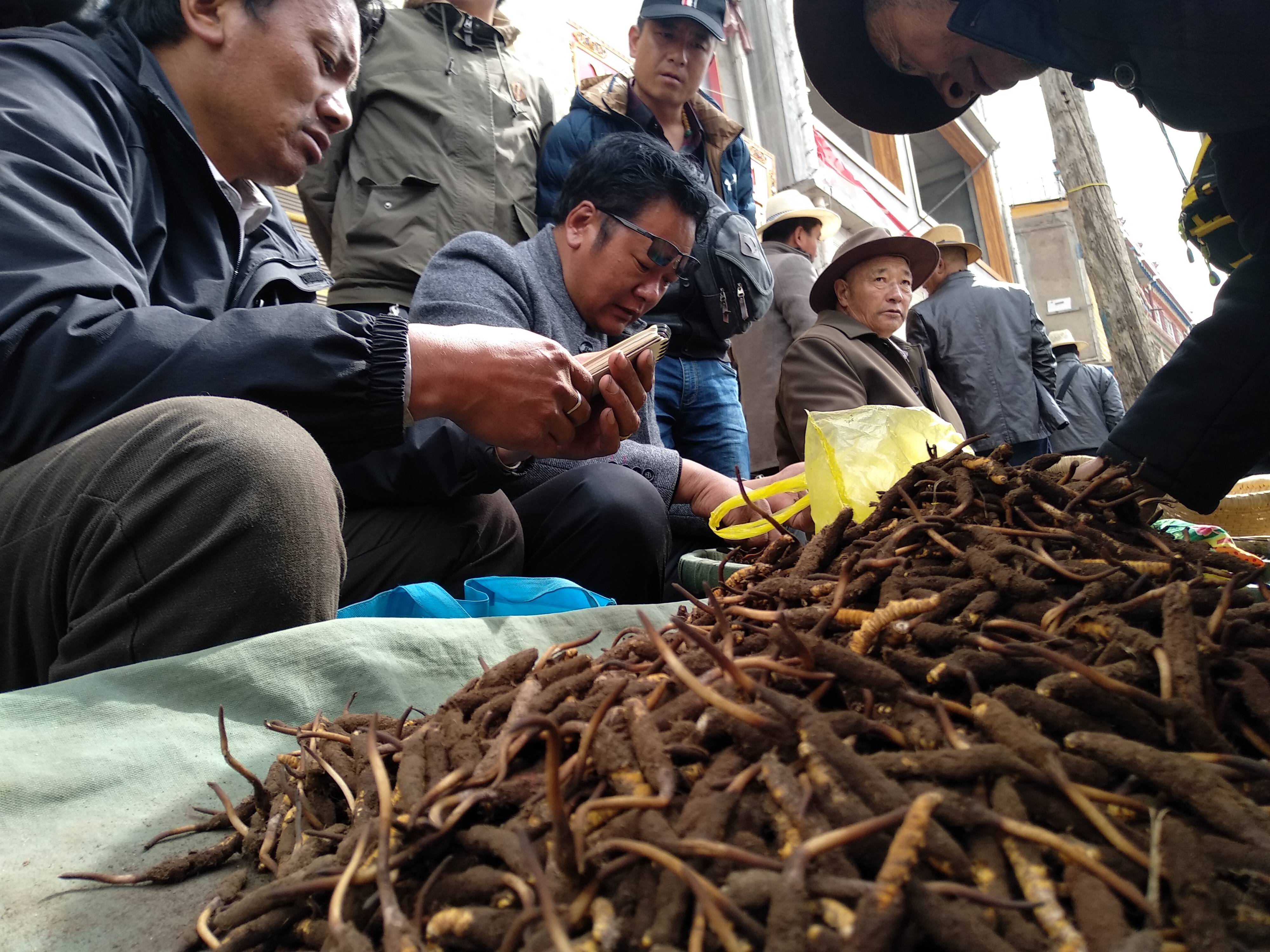在不允许采挖虫草的休息日，商贩在杂多县城收购虫草。