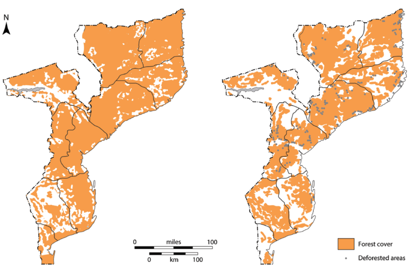 Change in Mozambique’s forest cover between 2003 and 2013. Source: Simplified and redrawn by IIED from higher resolution maps by DINAF