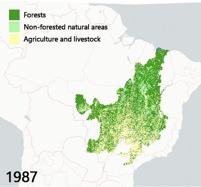 Cerrado forest loss