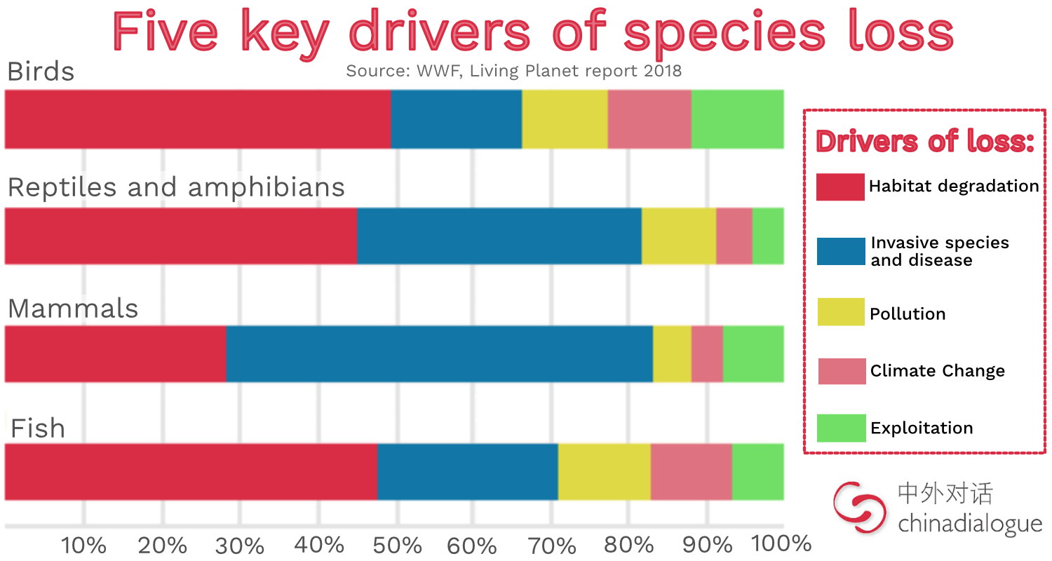 Five key drivers of species loss