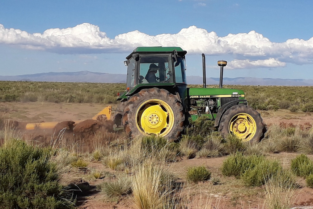 Organic royal quinoa is only produced around the Uyuni and Coipasa salt flats. (Image: Miriam Jemio)