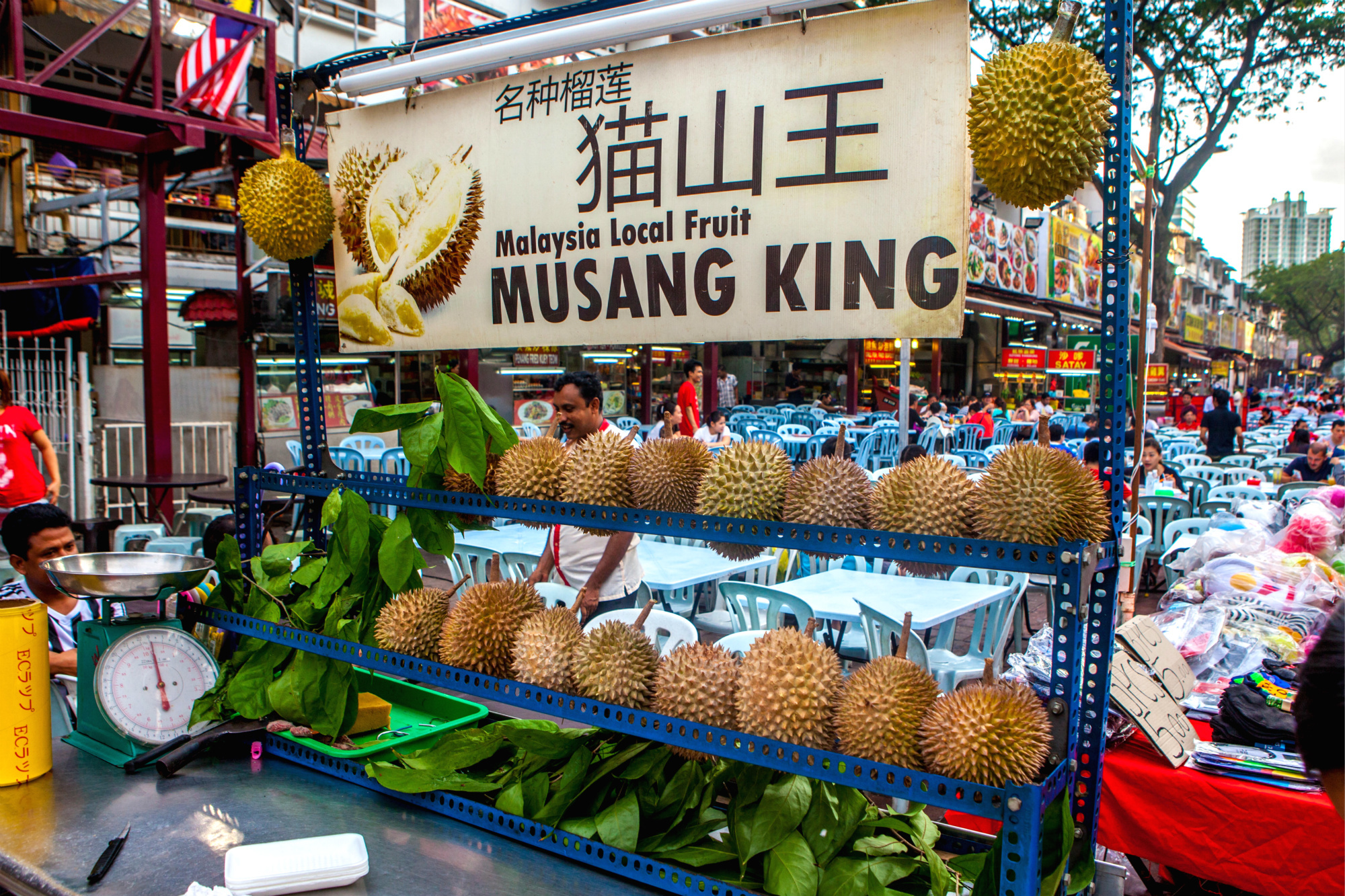 musang king, Malaysia