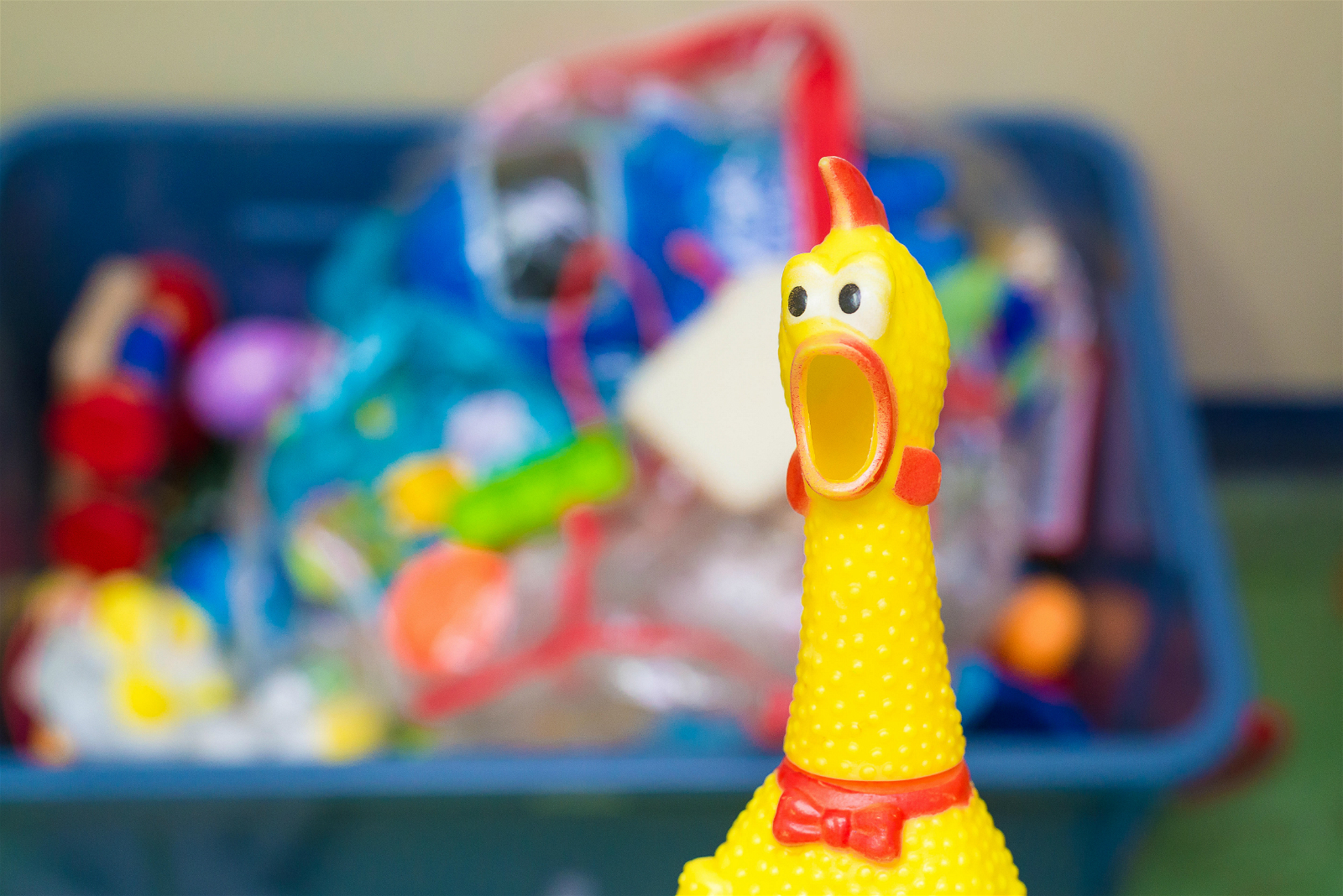 a squawking chicken, stress-relieving toys 