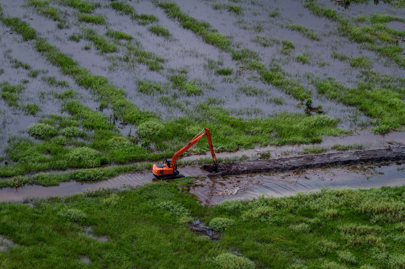 excavator at work building an access road and canal to make way for a palm oil plantation