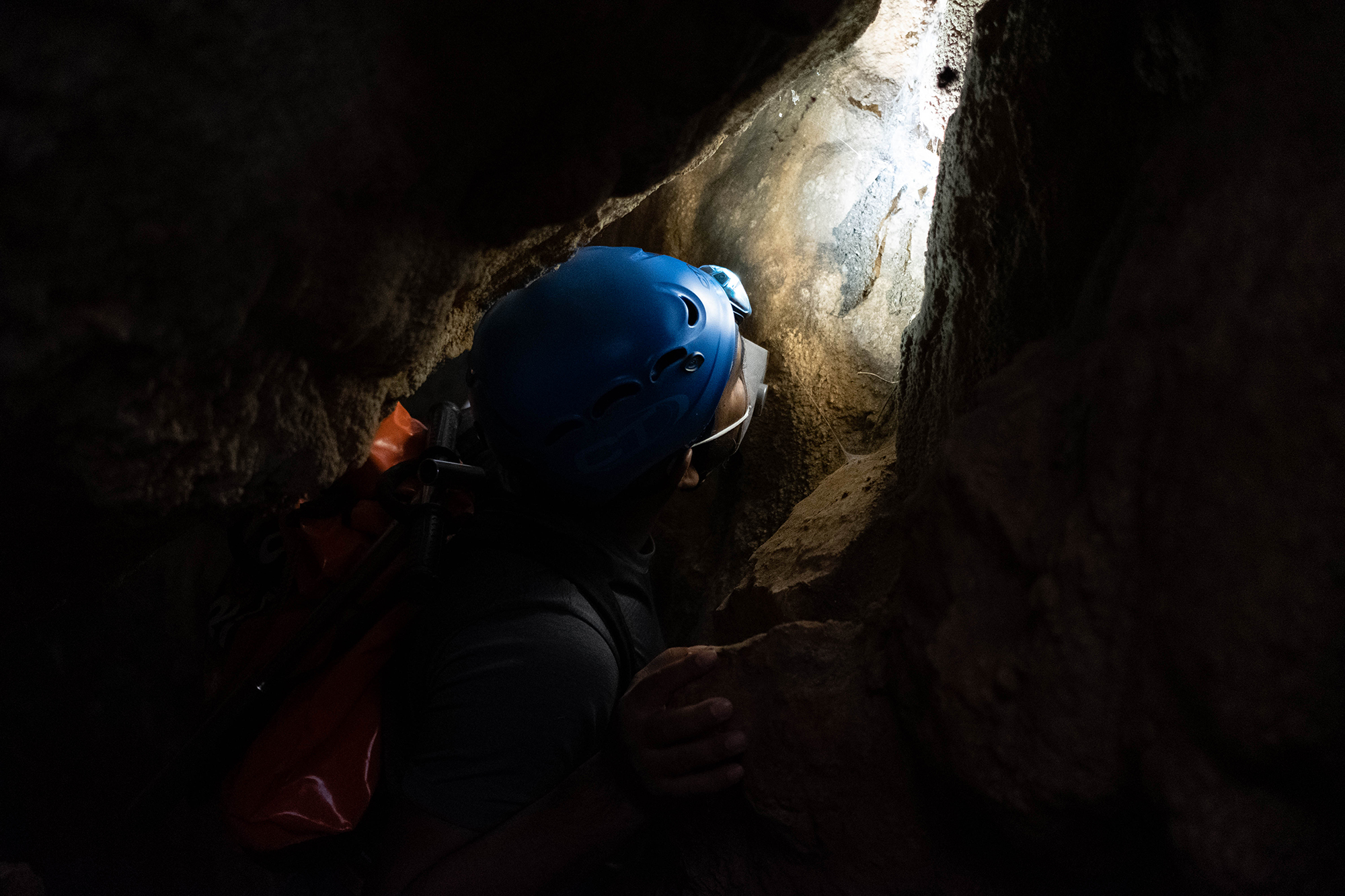 A member of Dr Mortimer’s research team investigates fungal growth in Swallow Cave 