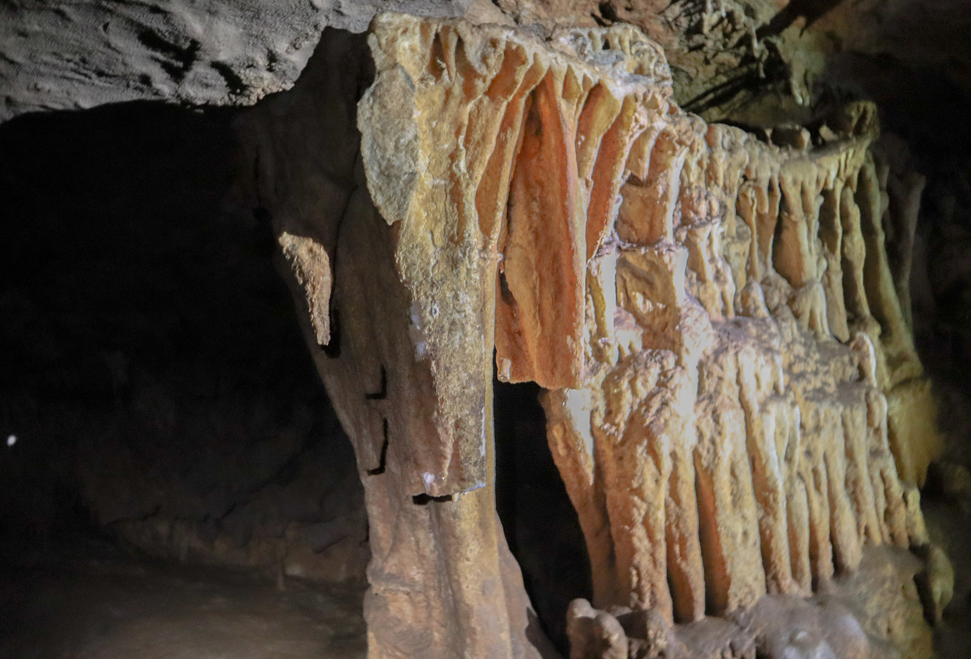 Stalactites in Swallow Cave, some off which have had pieces cut off as souvenirs  