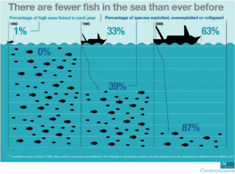 There are fewer fish in the sea than every before 