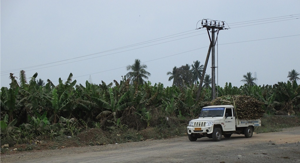truck in front of banana grove near the Amaravati foundation stone 