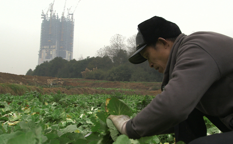 Main farmer bbc meitu 5