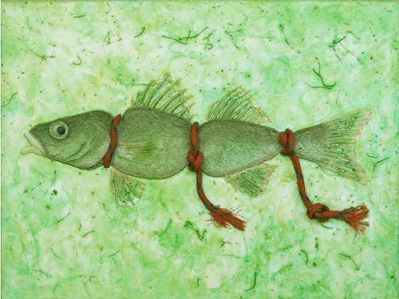 Main fish bondage