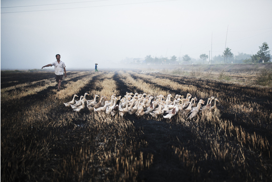 Main vietnam photo 1