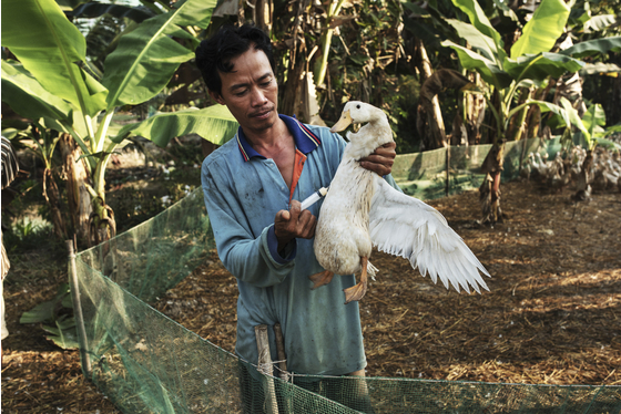 Main vietnam photo 3