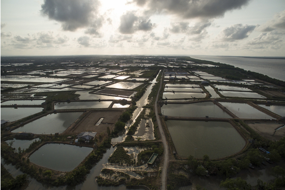 Main vietnam photo 4