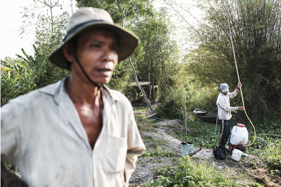 Main vietnam photo 5