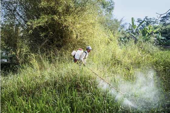 Main vietnam photo 6