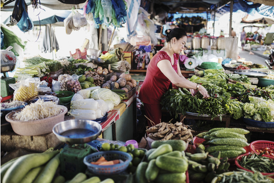 Main vietnam photo 9