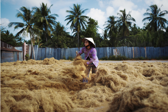 Main vietnam photo 10