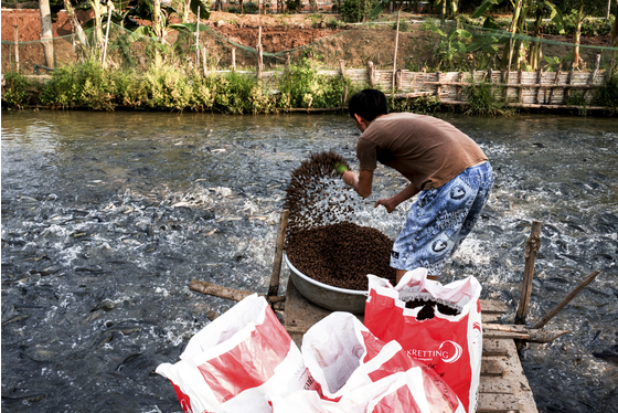 Main vietname photo 12