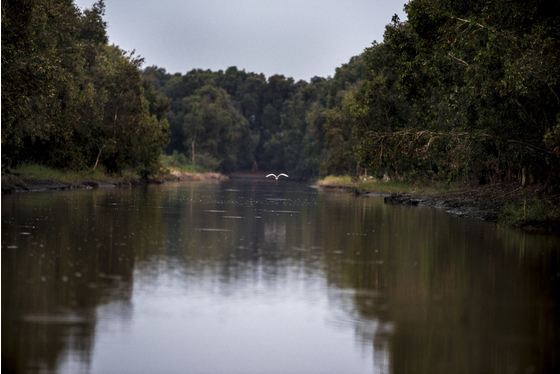 Main vietnam photo 13